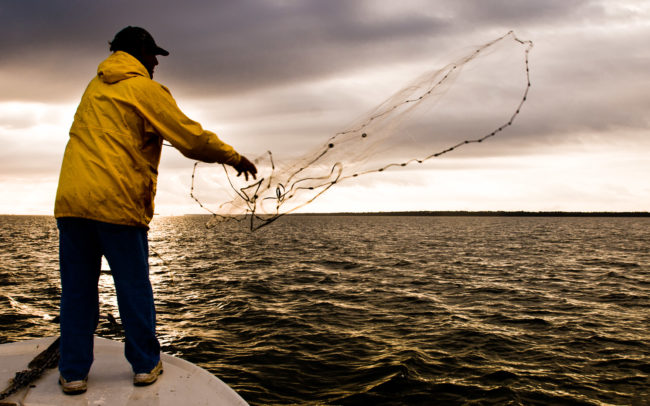 Casting for bait on Apalachicola Bay